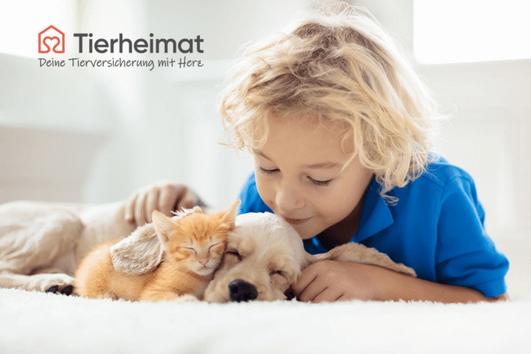 Tierheimat Tierversicherung Header Kind mit Hund und Katze